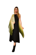 Silk Scarf — Gradient Shade Collection | Vshine Silk and Shine
