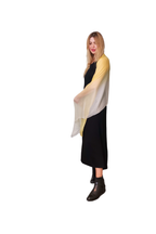 Silk Scarf — Gradient Shade Collection | Vshine Silk and Shine