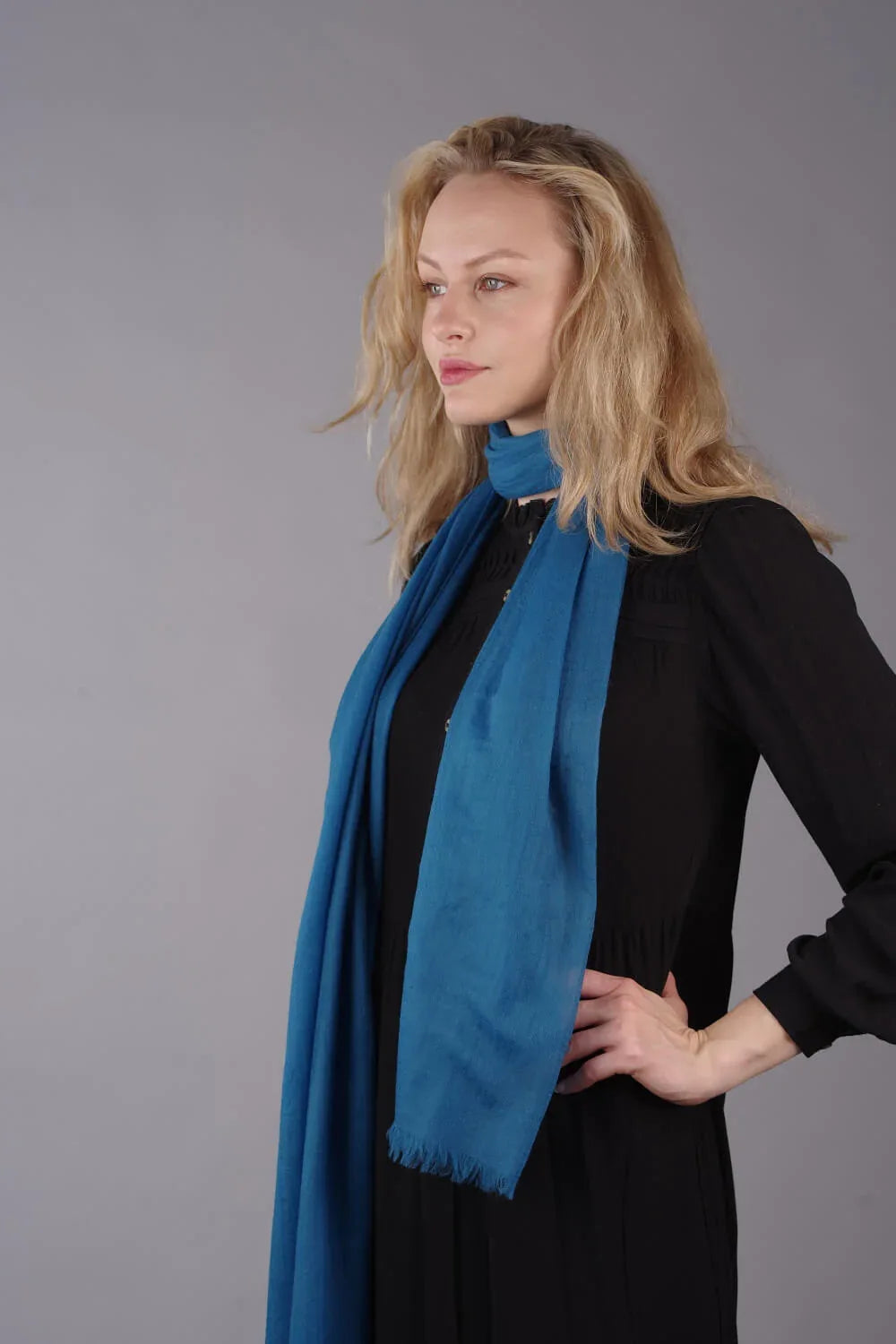 Extra Large Finest Cashmere Shawl Peacock Blue - Vshine Silk and Shine 