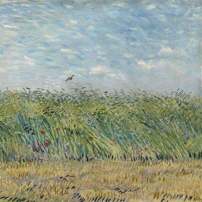 Oil Paint Silk Scarf| Oil Paint Wheat field with a lark - Vshine Silk and Shine 