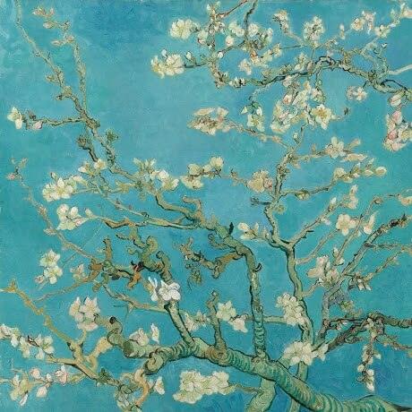 Oil Paint Silk Scarf| Almond Blossom - Vshine Silk and Shine 