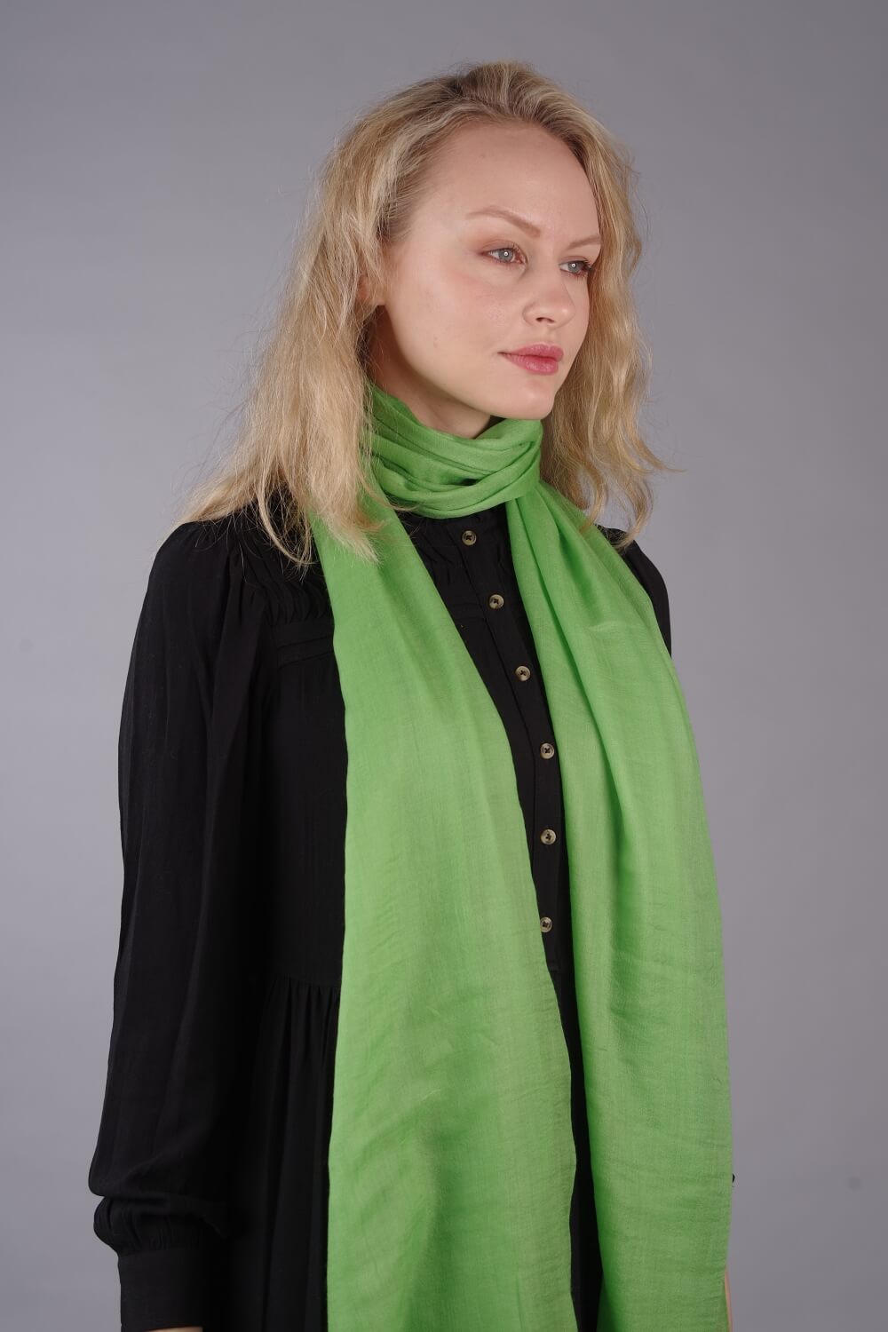 Extra Large Finest Cashmere Shawl Green - Vshine Silk and Shine 
